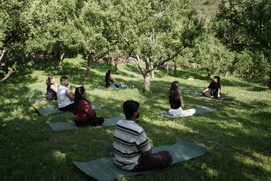 Guests meditating on mats in a sunlit apple orchard at a Shunaya retreat